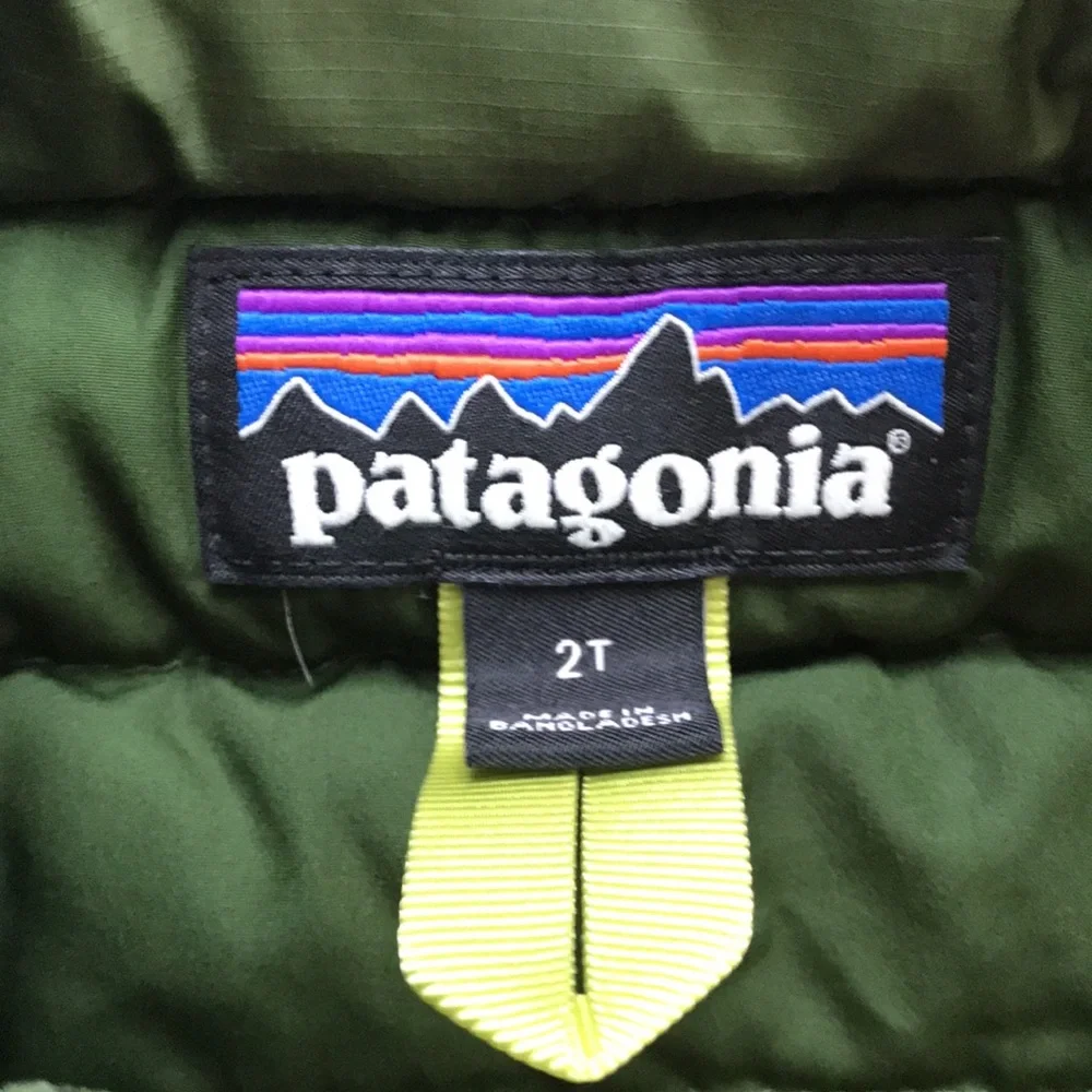 Patagonia Puffer Jacket (size 2T)